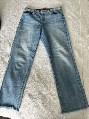 Light Blue Denim Jeans with Button-Fly Detail